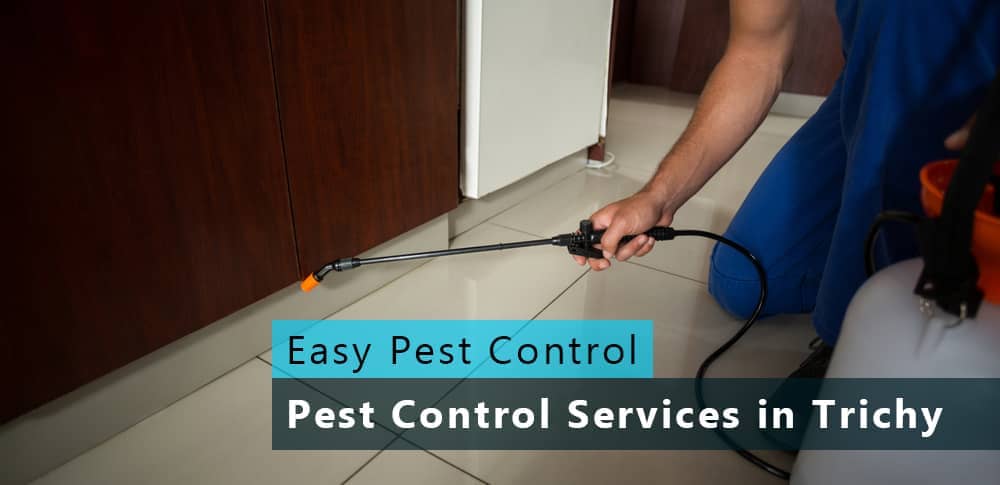 easy-pest-control-4